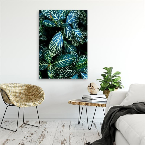 Feeby Obraz na płótnie Liście roślin w Tropikach 40x60