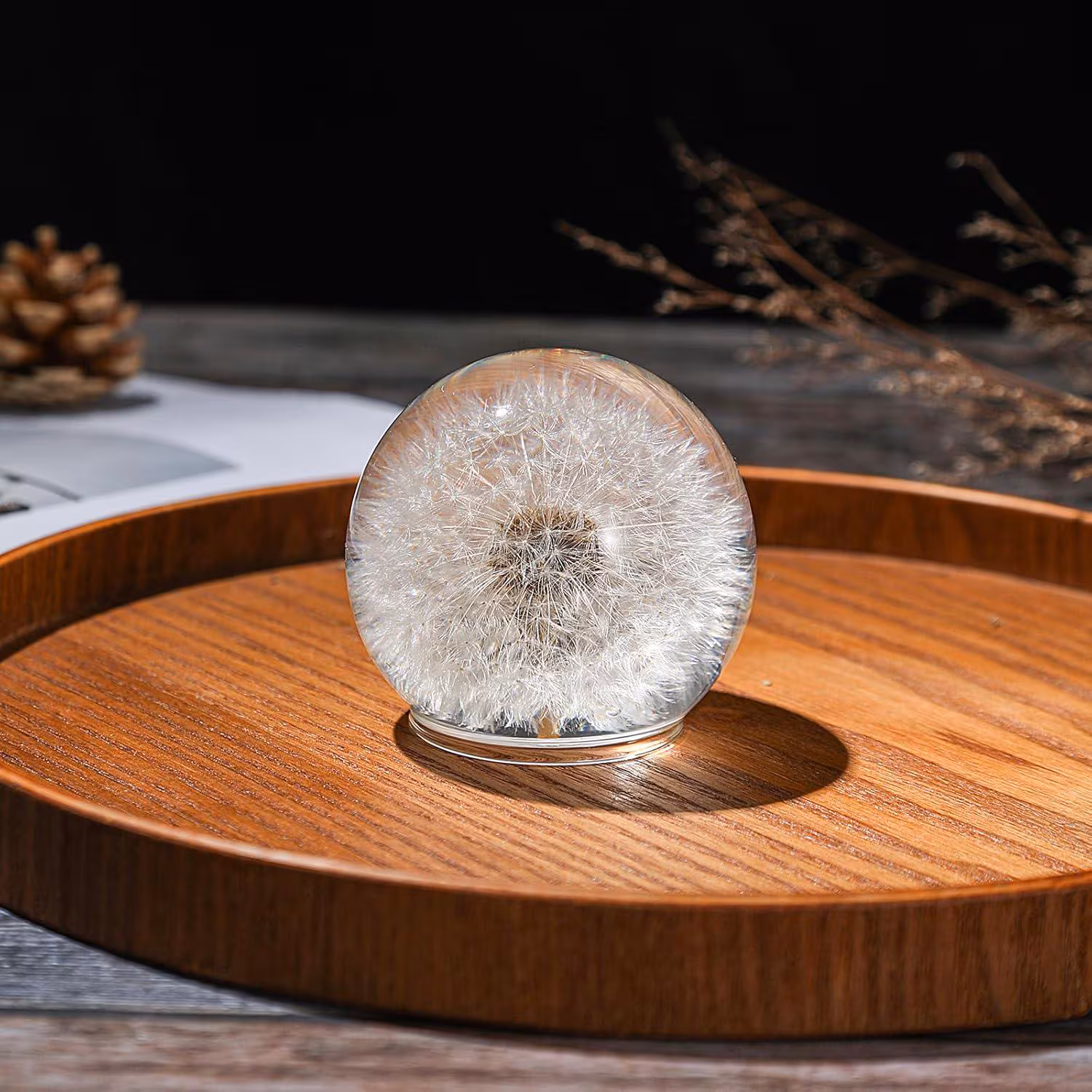 Real Dandelion Crystal Ball Paperweight, Nature Botanical Sphere Decor