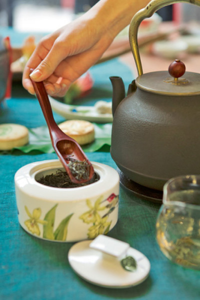 Cukiernica Amazonia Villeroy & Boch