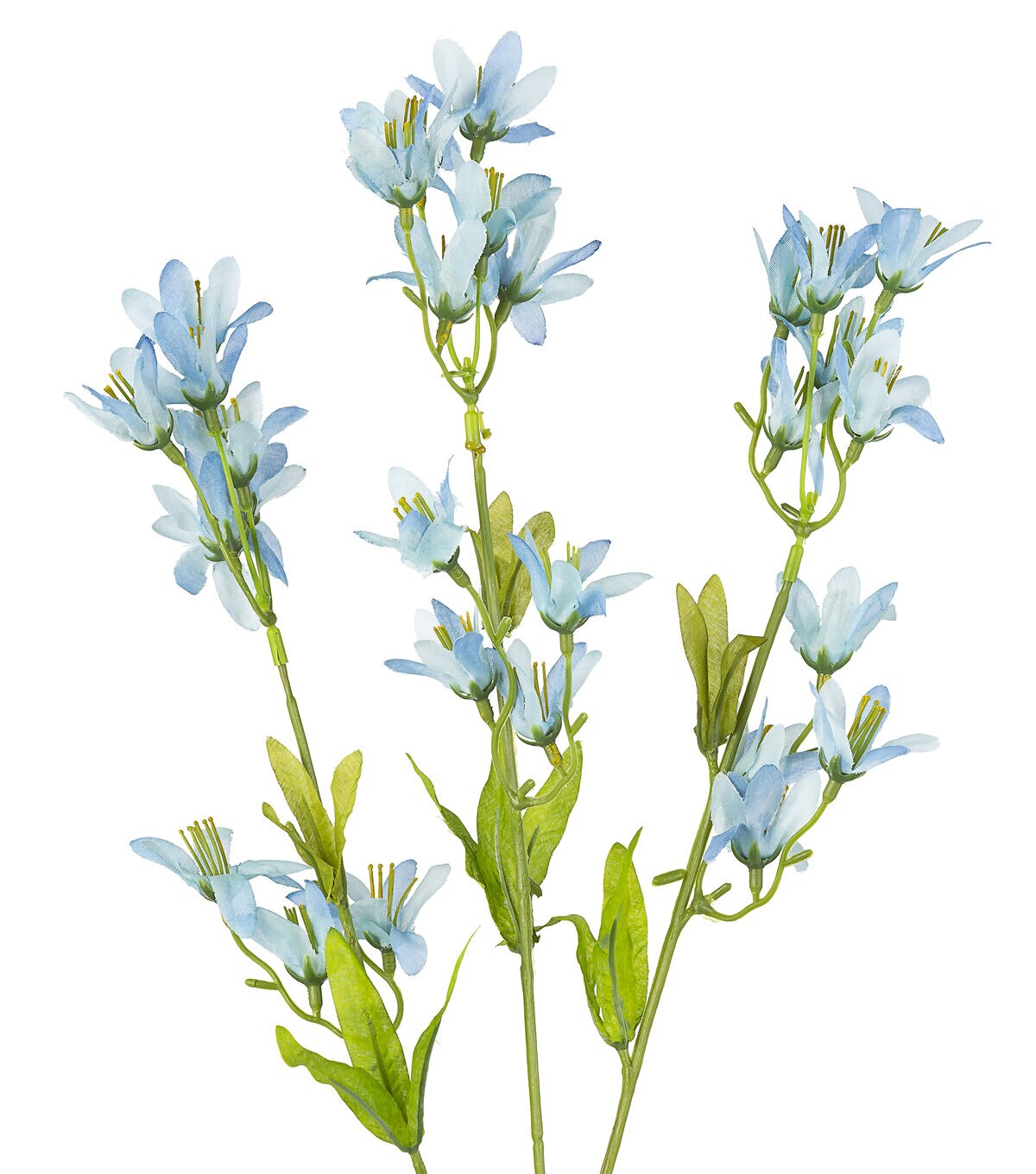 30 Denim Blue Tweedia Stem by Bloom Room