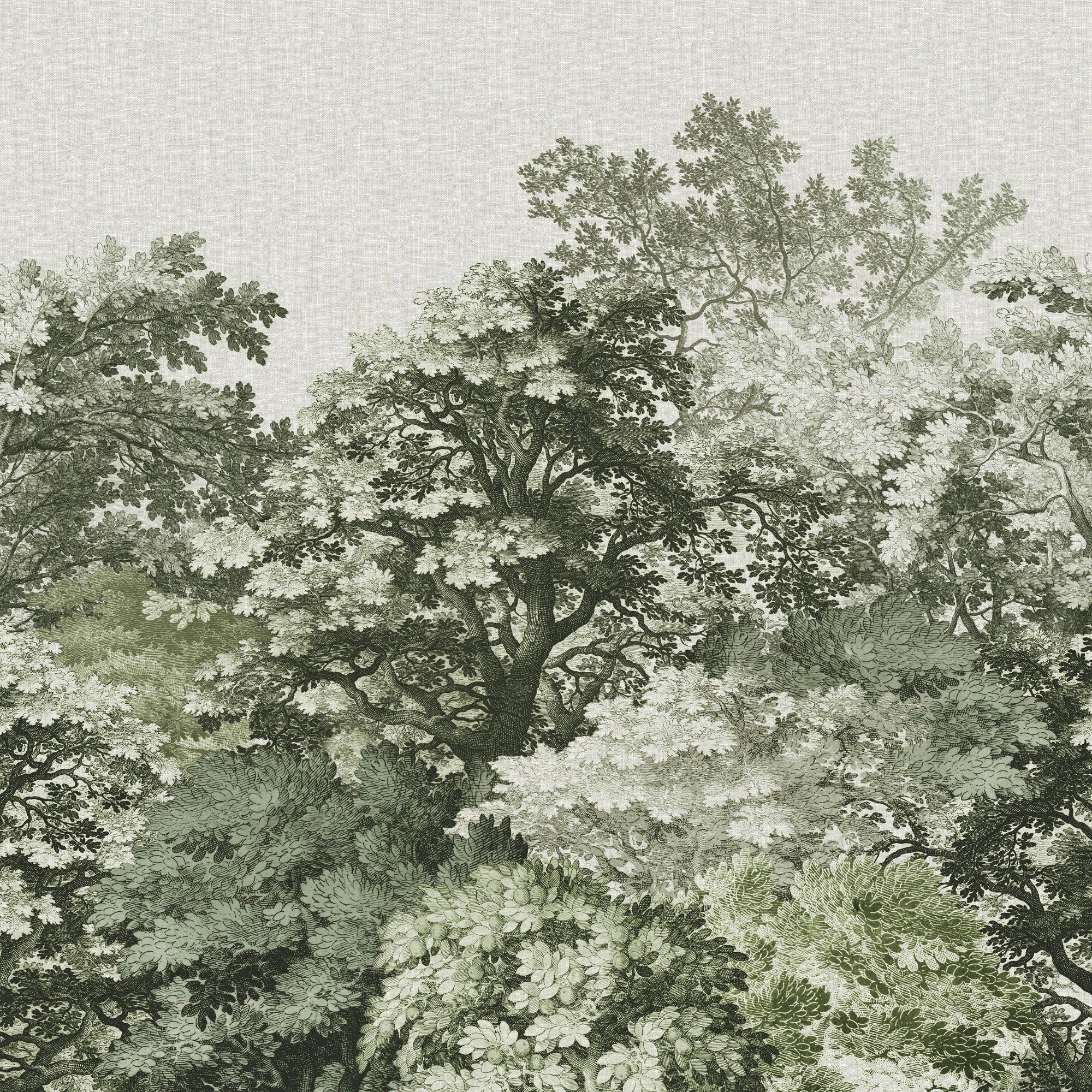 Superfresco Easy Fotobehang - Forest Canopy - 300x280