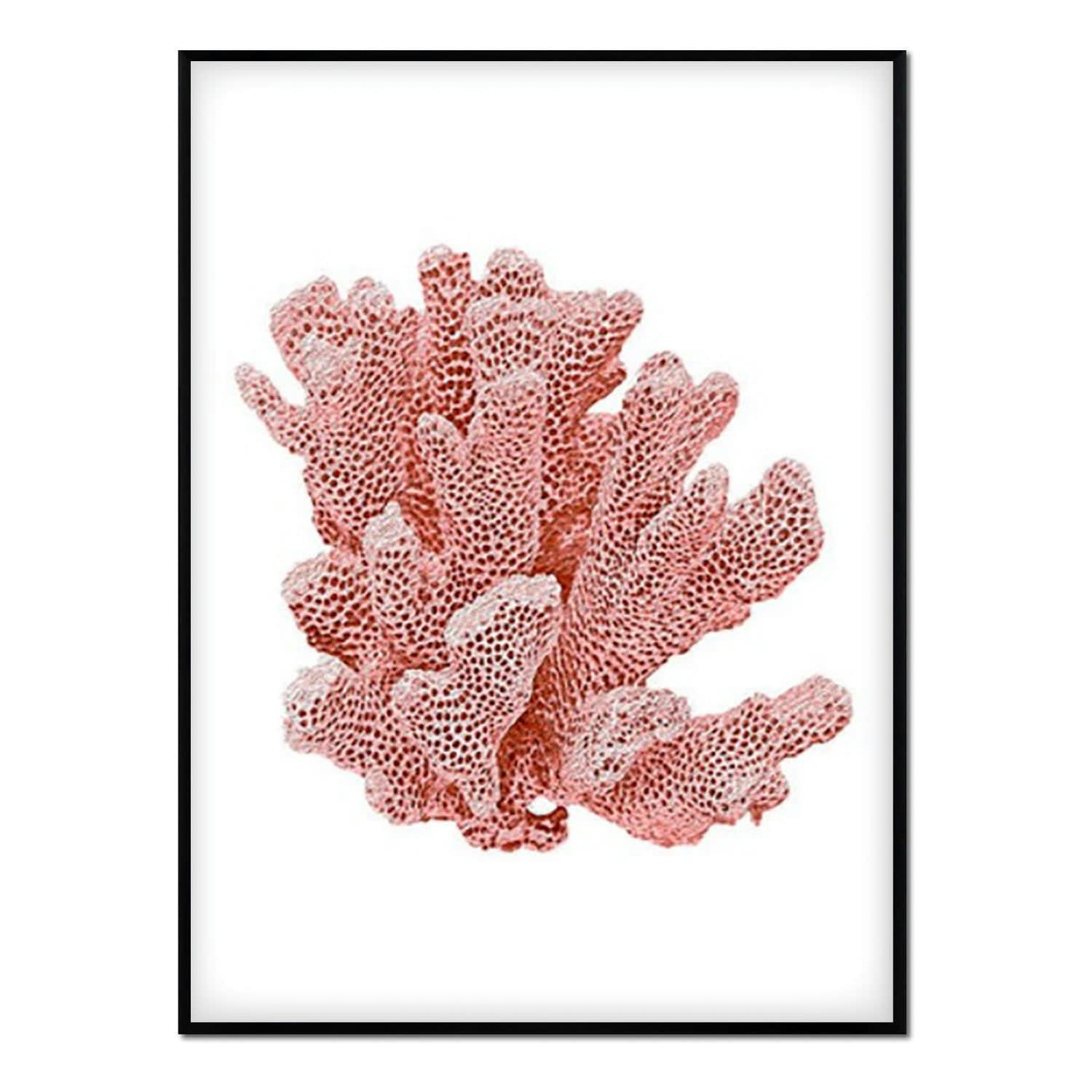 CORAL - Affiche avec cadre noir - Corail - 50x70