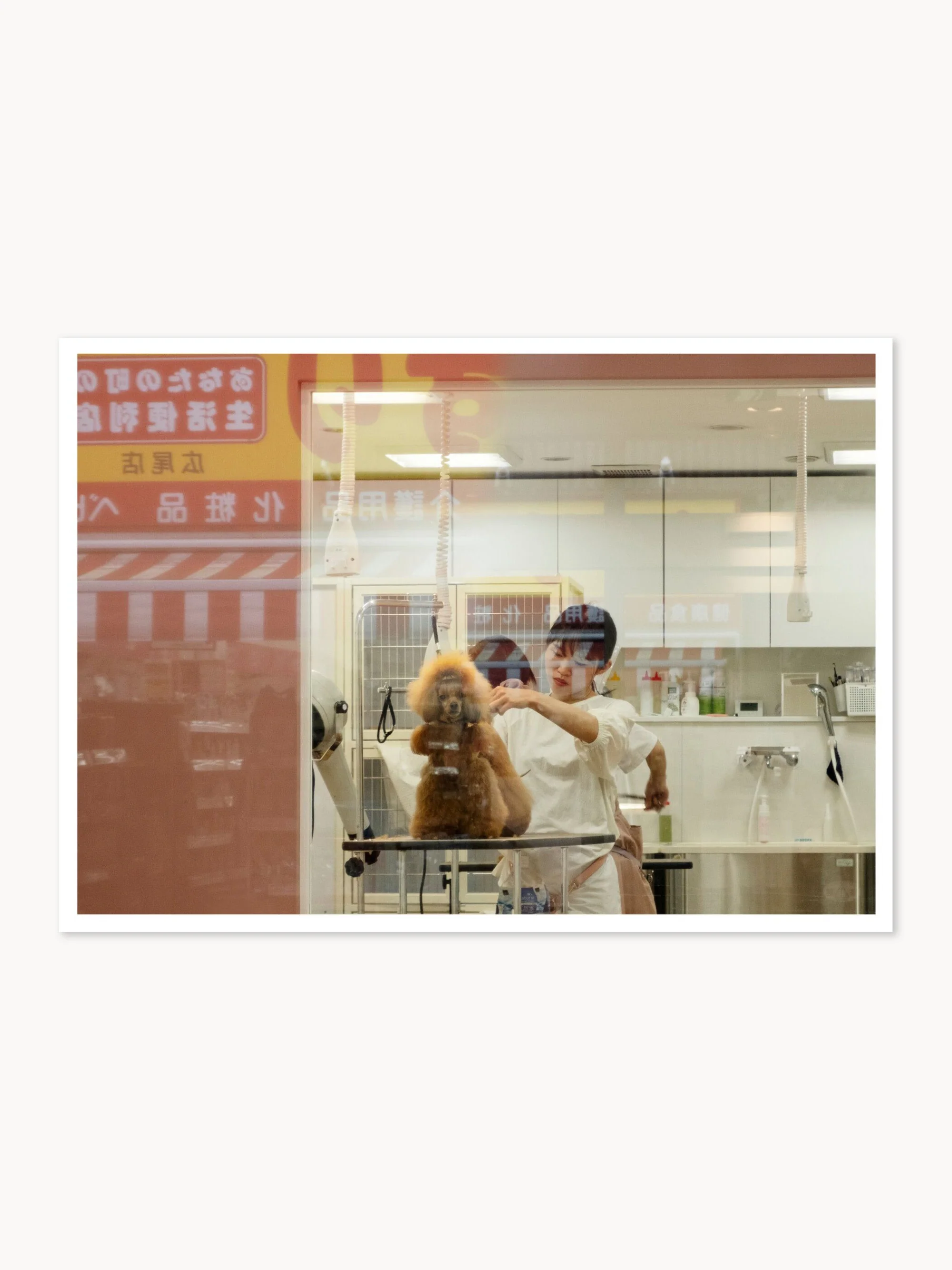 Poster Salon