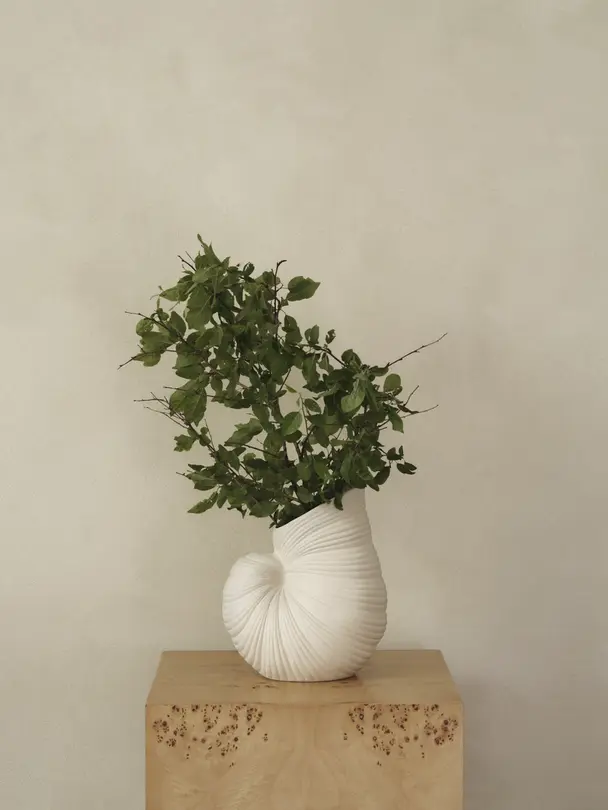 Vase Shell