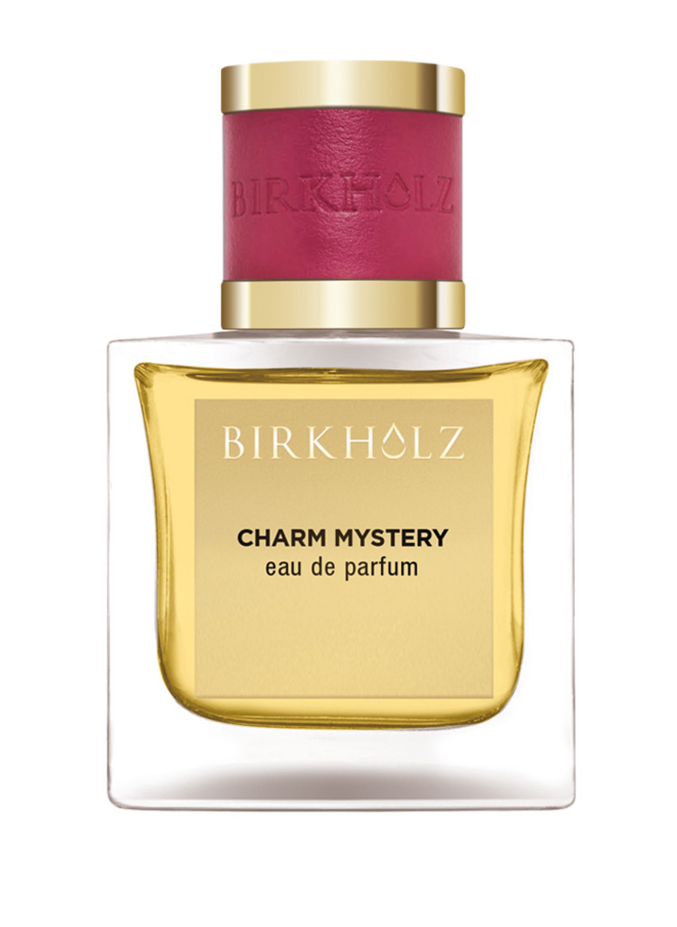 BIRKHOLZ CHARM MYSTERY