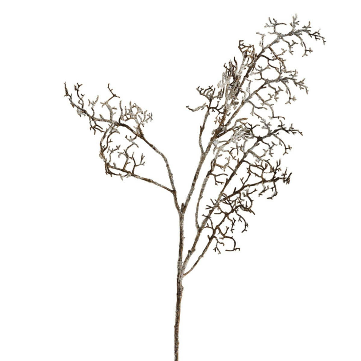 - Branche de pin effet séché H70