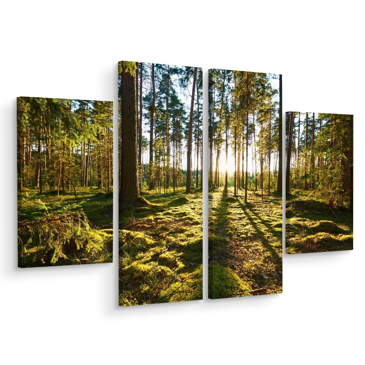 Obraz 4 Częściowy LAS Drzewa Krajobraz 3D 80x60cm