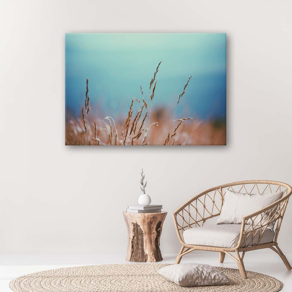 Feeby Obraz na płótnie Źdźbła traw 60x40