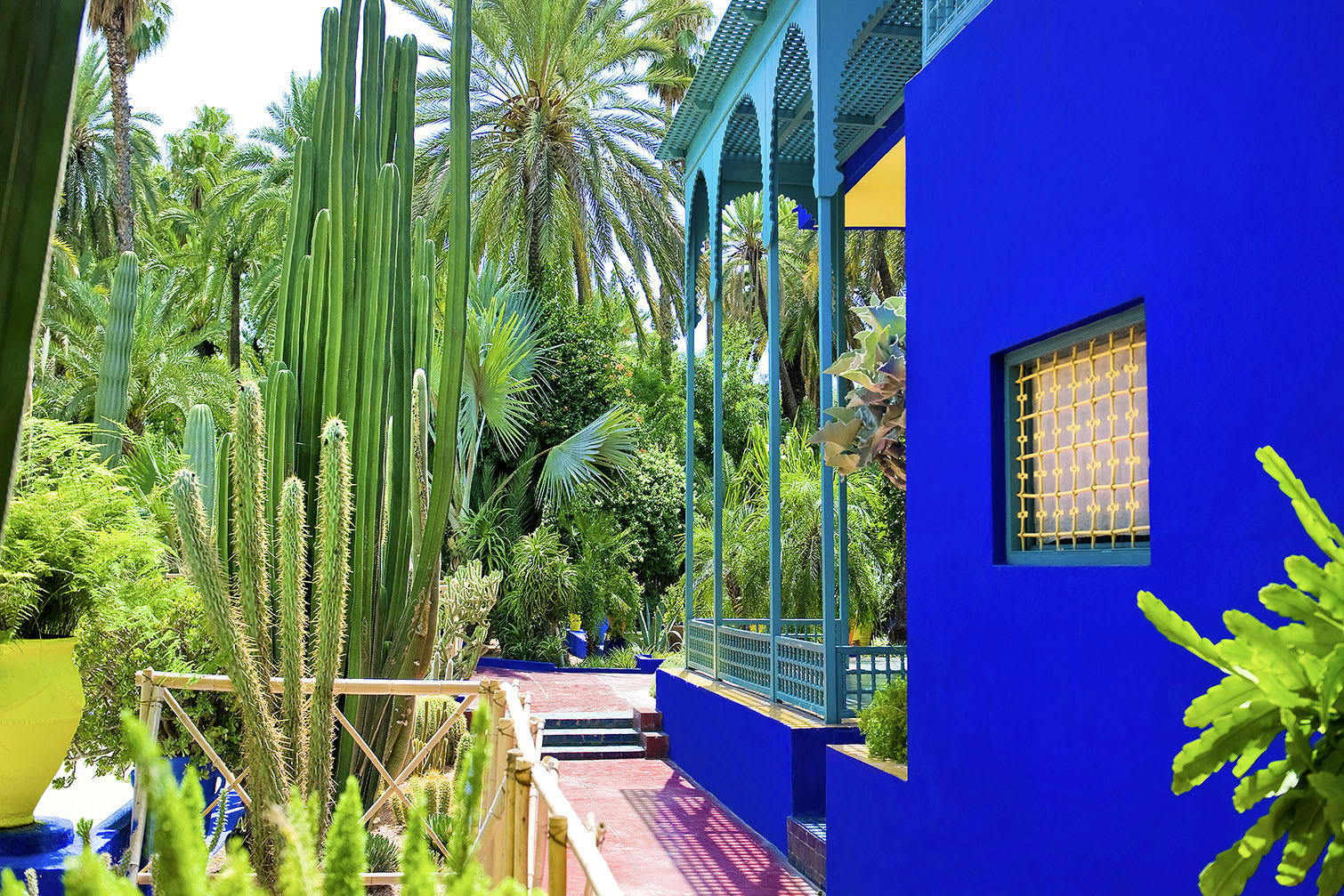 - Tableau jardin majorelle imprimé sur alu 45x30cm
