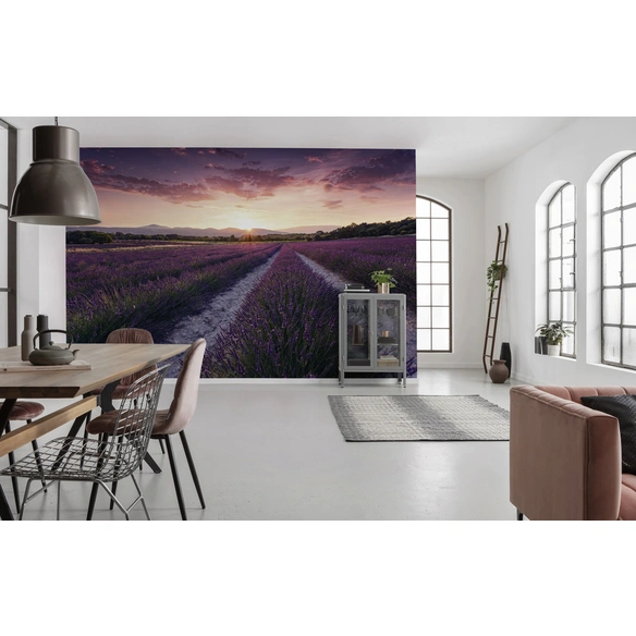 Vliestapete »Lavender Dream«, Breite 450 cm, seidenmatt