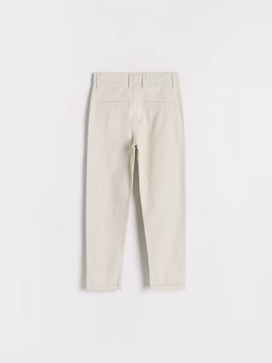 Regular Fit Chino Trousers