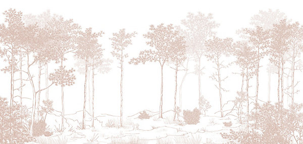 Papier peint panoramique Balade dans les bois, Beige 375 x 250cm