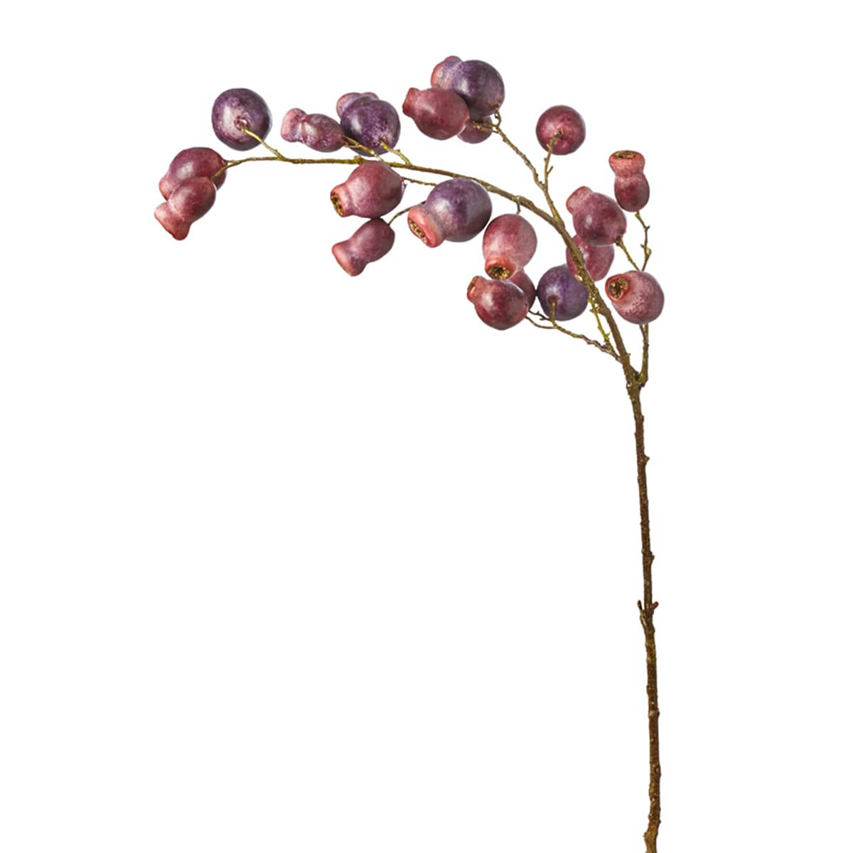 CANINA - Branche d'églantier H90