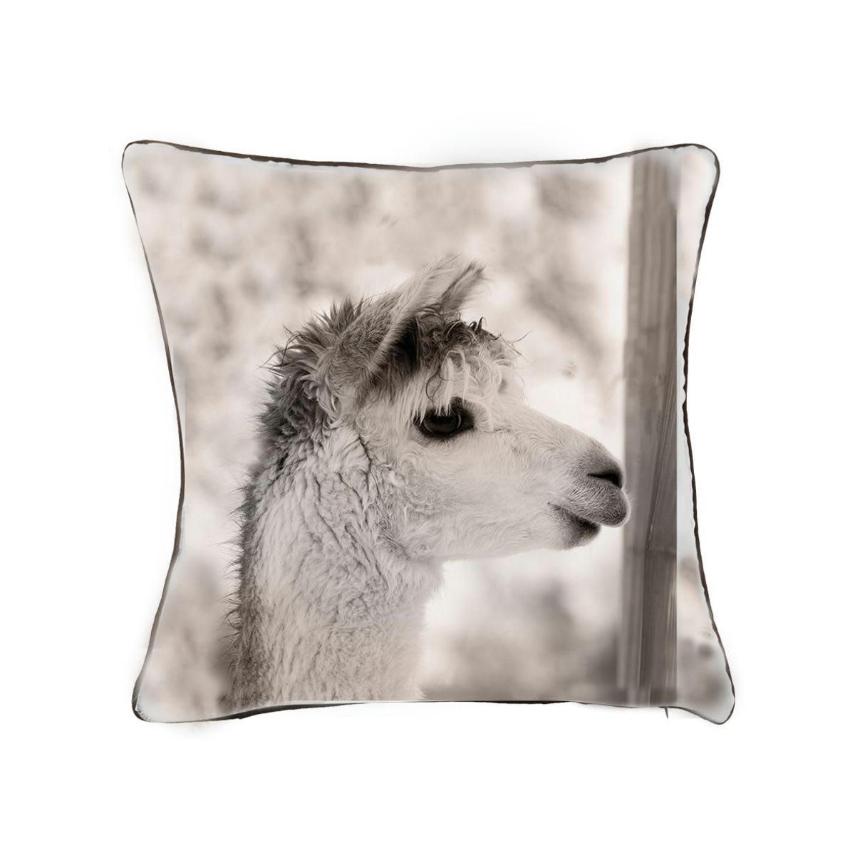 - Coussin suédine 45 x 45 cm Lama