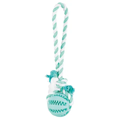 Trixie Denta Fun Play Rope with Ball