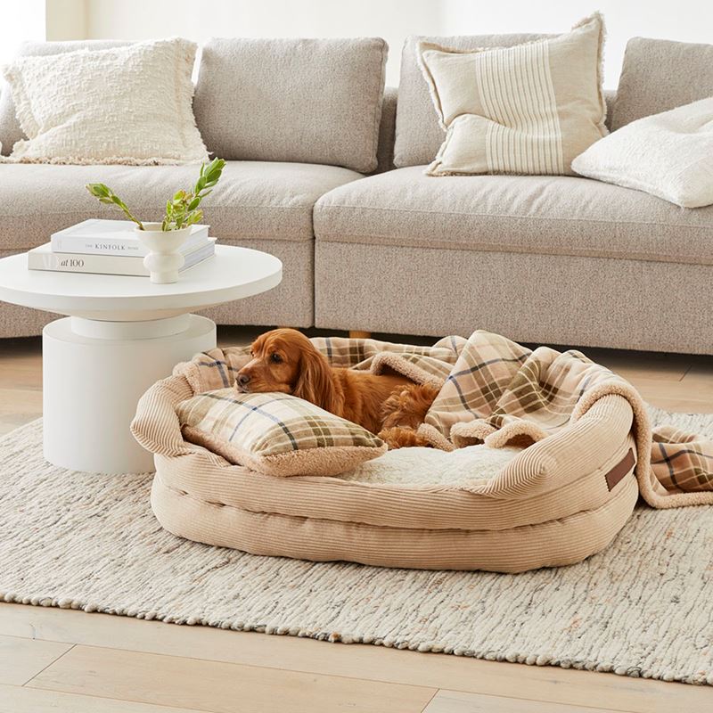 Maisy Biscuit & Forest Check Pet Blanket