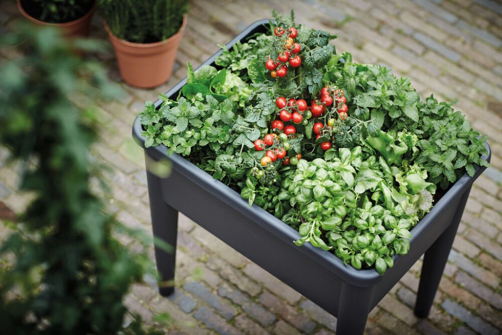 PLANTEKASSE ELHO GREEN BASICS GROW TABLE XXL LEAF SUPER