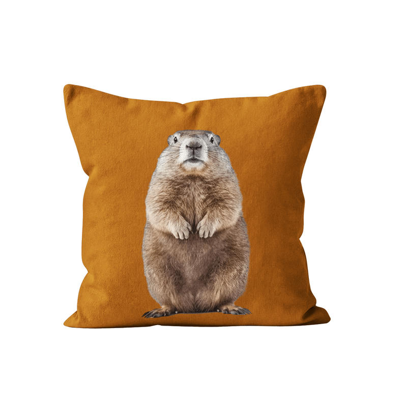 - Coussin déco animal marmotte velours orange rouille 40x40cm