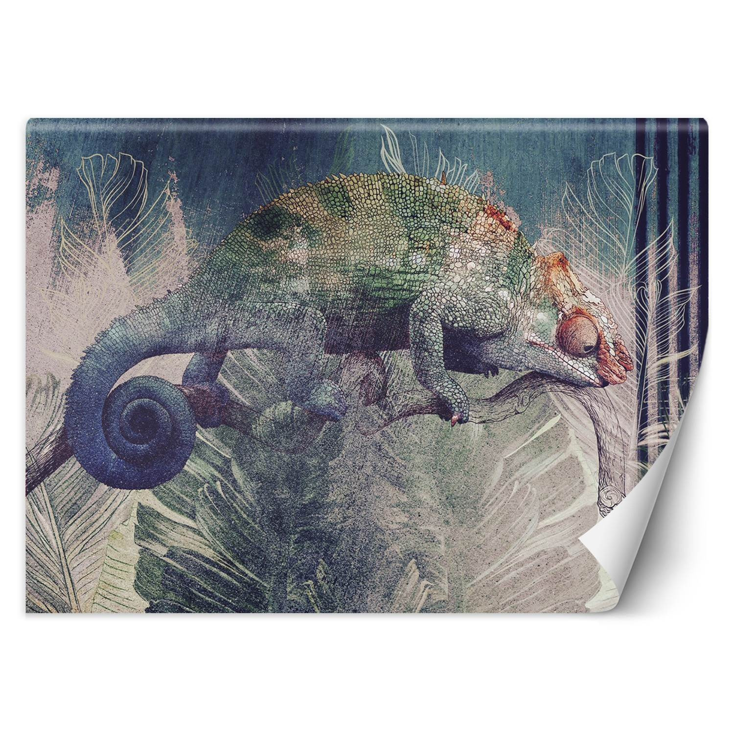 Feeby Fototapeta, Kameleon na gałęzi w dżungla 150x105