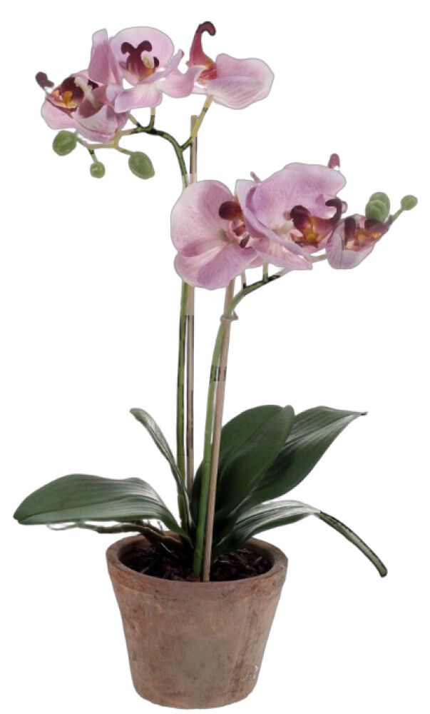 KUNSTIG PLANTE EMERALD PHALAENOPSIS 56CM LILLA