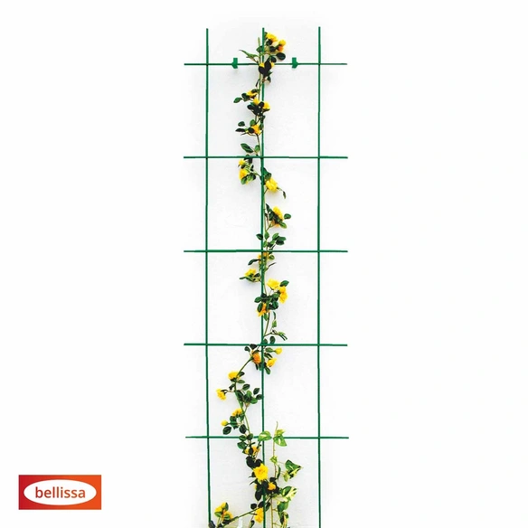 Spalier, LxH: 150 x 0,5 cm, mehrfarbig