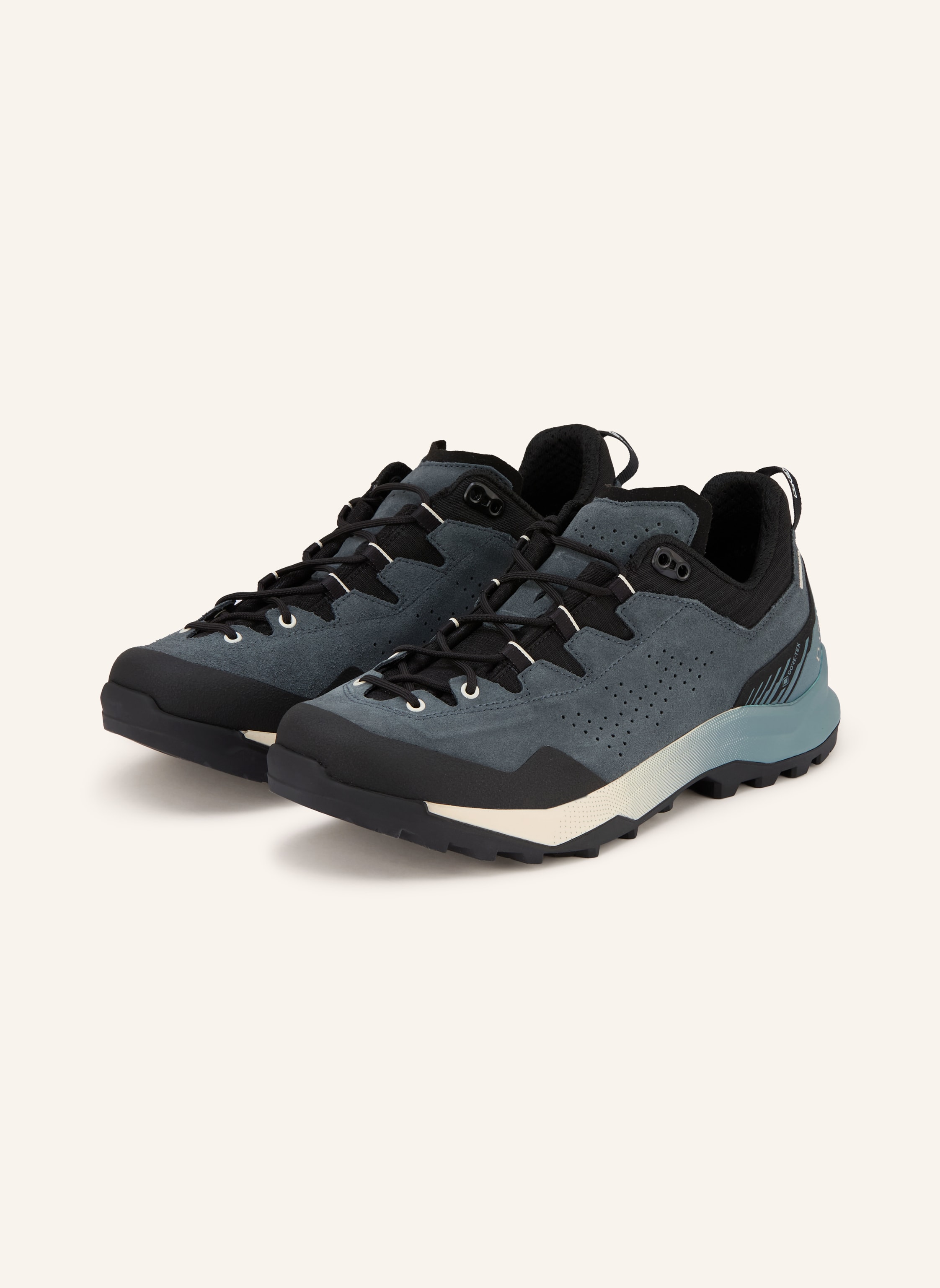 LOWA Bergschuhe GTX LO