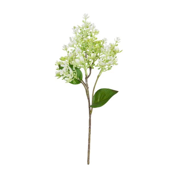 FLOR AMARILIS JOLIE