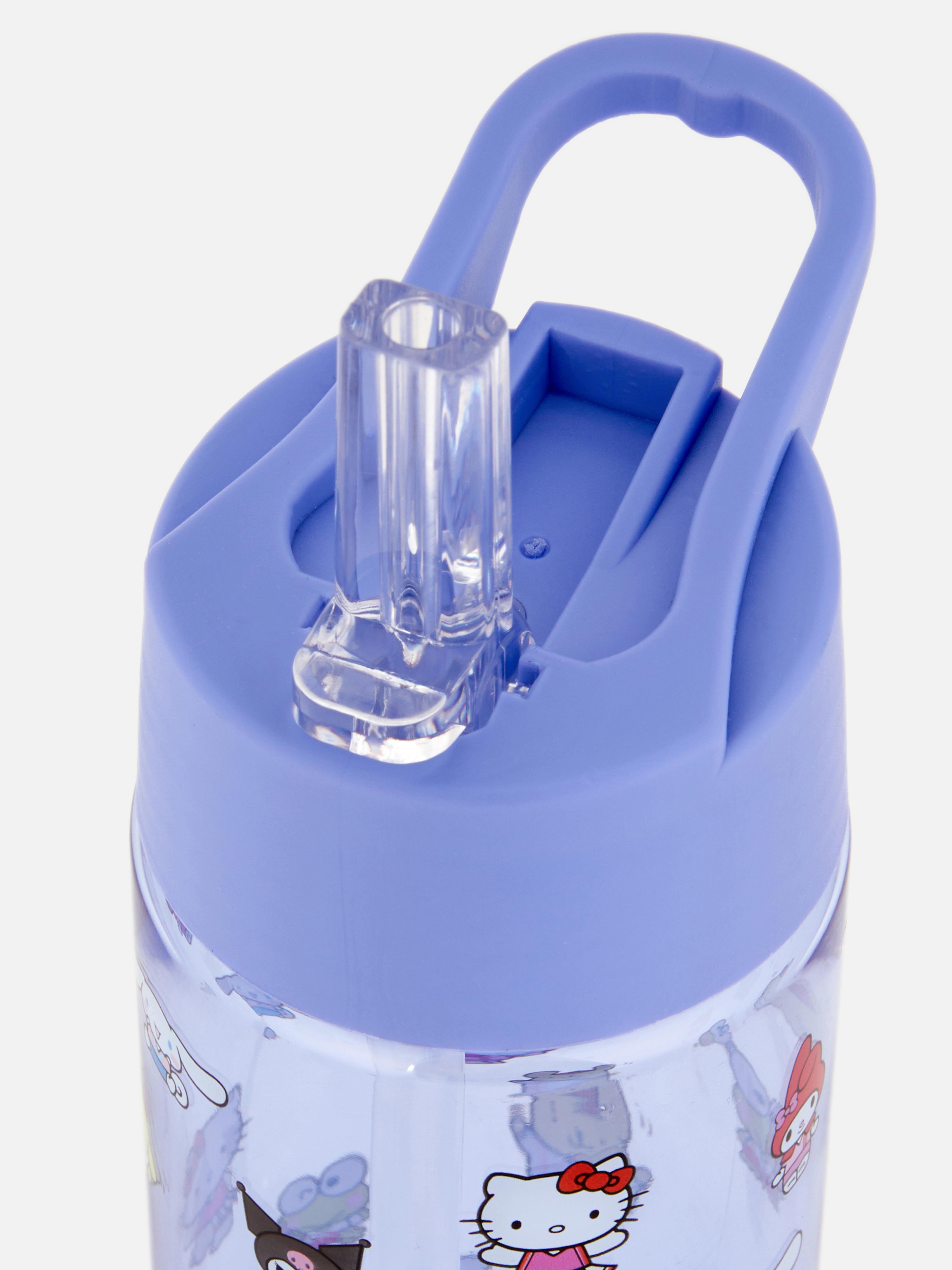 Hello Kitty and Friends Water Bottle