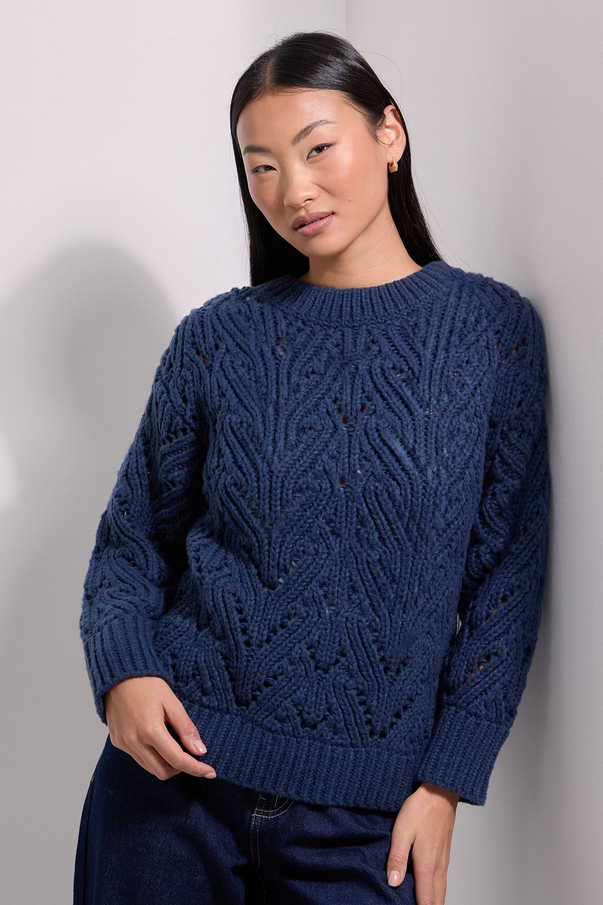 Dorothy Perkins Petite Cable Pointelle Crew Neck Jumper