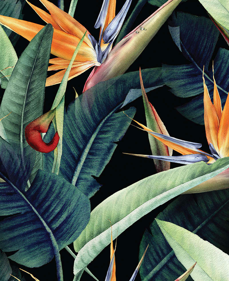 - Tableau sur toile jungle 40x50