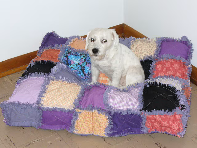 Custom Order Ashlawnfarms Rag Quilt Dog Cat Pet Bed LARGE Square size