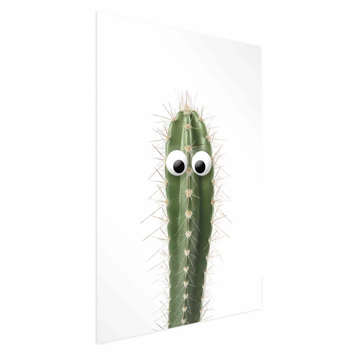 Plakat Żywy kaktus 21x30 cm