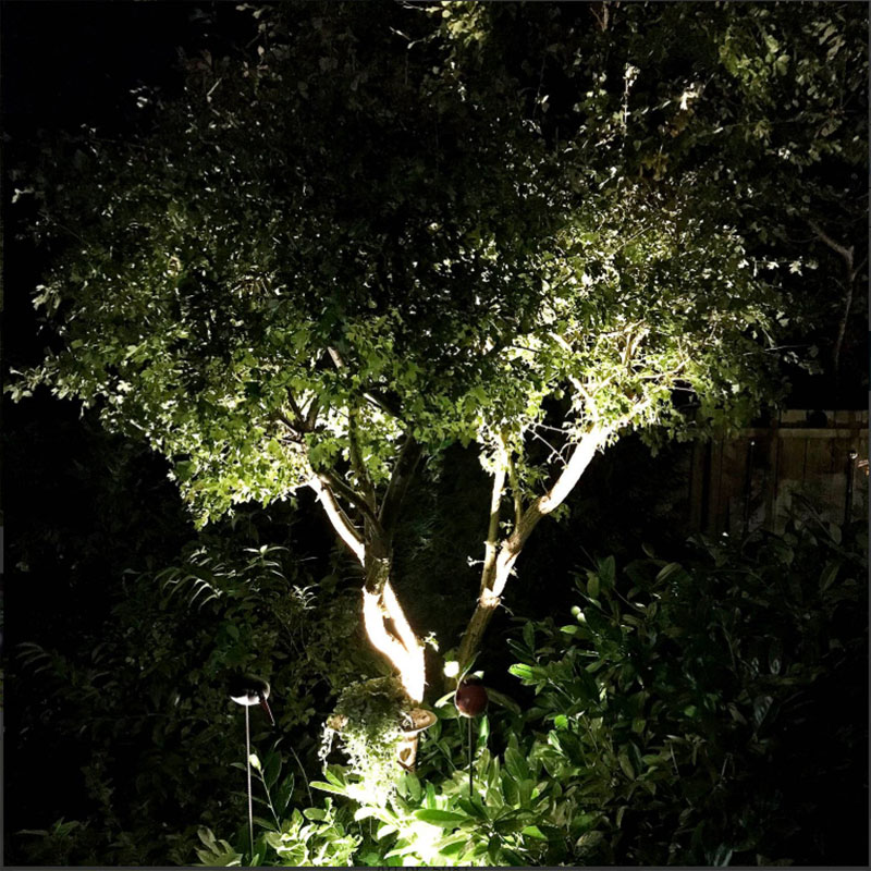 Medusa - LED Garden Plug & Play