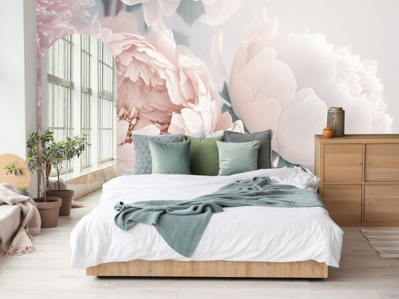 Fototapeta Duże różowe peonie 100x70cm