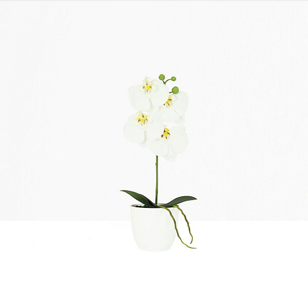 Orchidée artificielle blanche 35cm
