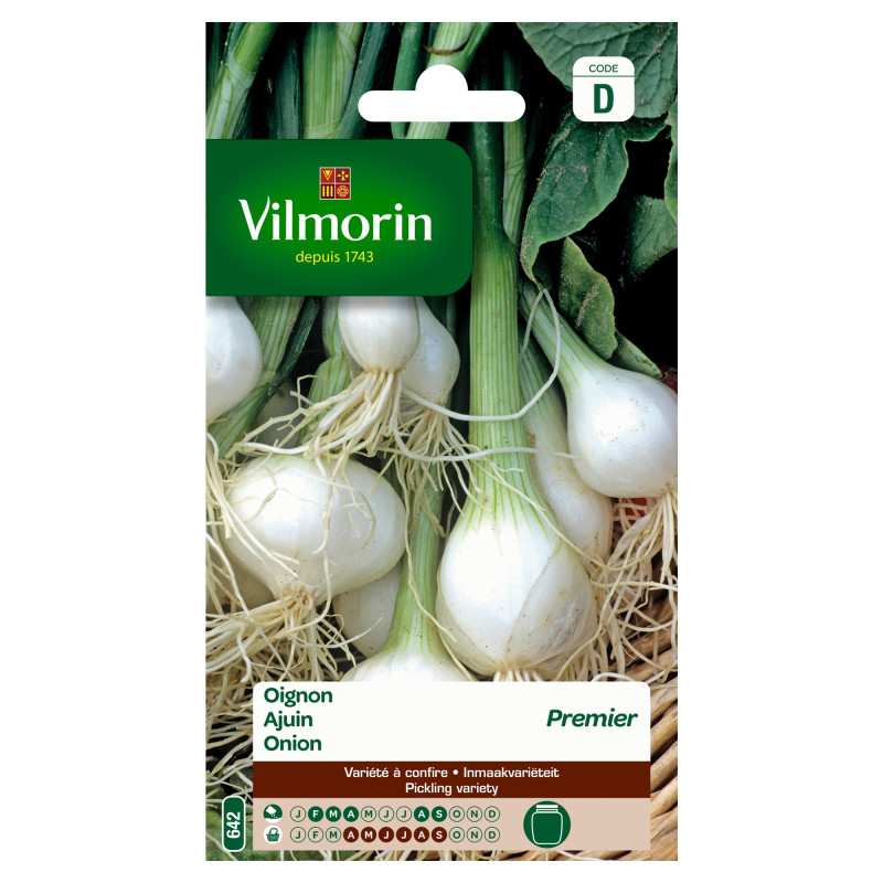 Semences d'oignon Blanc Premier VILMORIN
