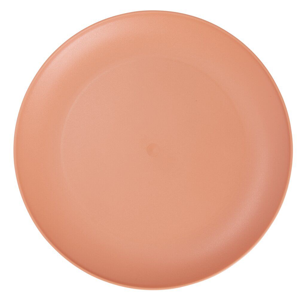 Assiette plate ronde plastique Ø23,5cm (3 modèles)