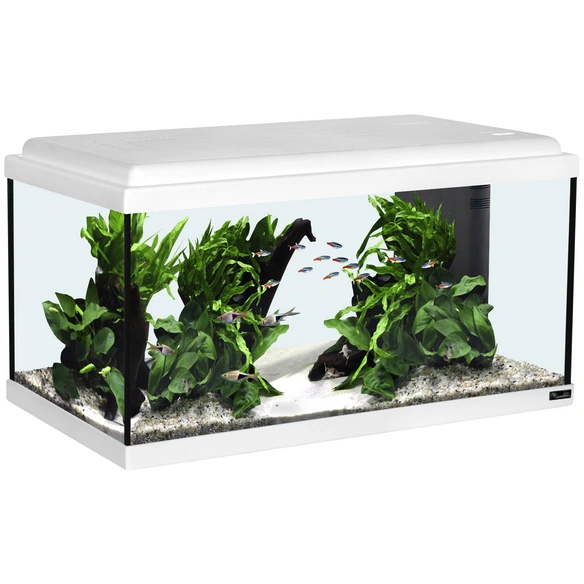 Aquarienset Advance 60 LED