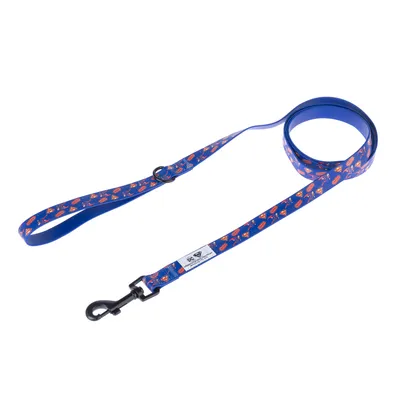 DC Superman Dog Lead