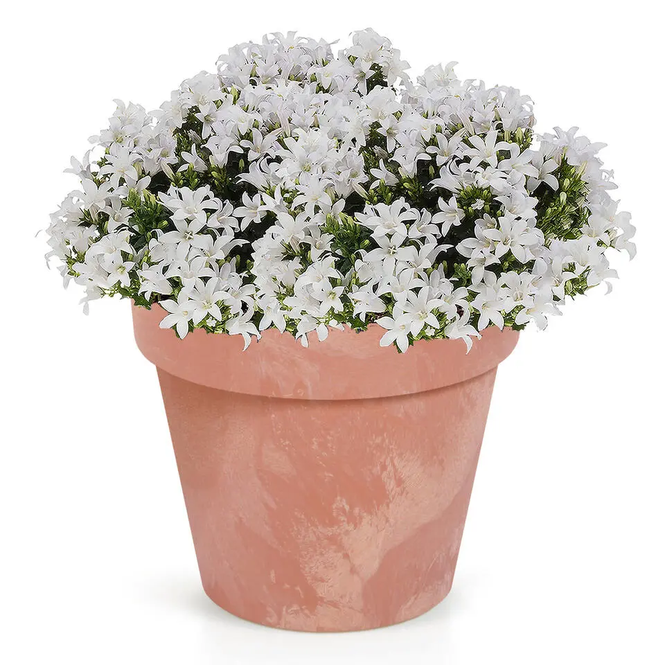 Prosperplast Bloempot - betonlook - terracotta - kunststof - 20cm