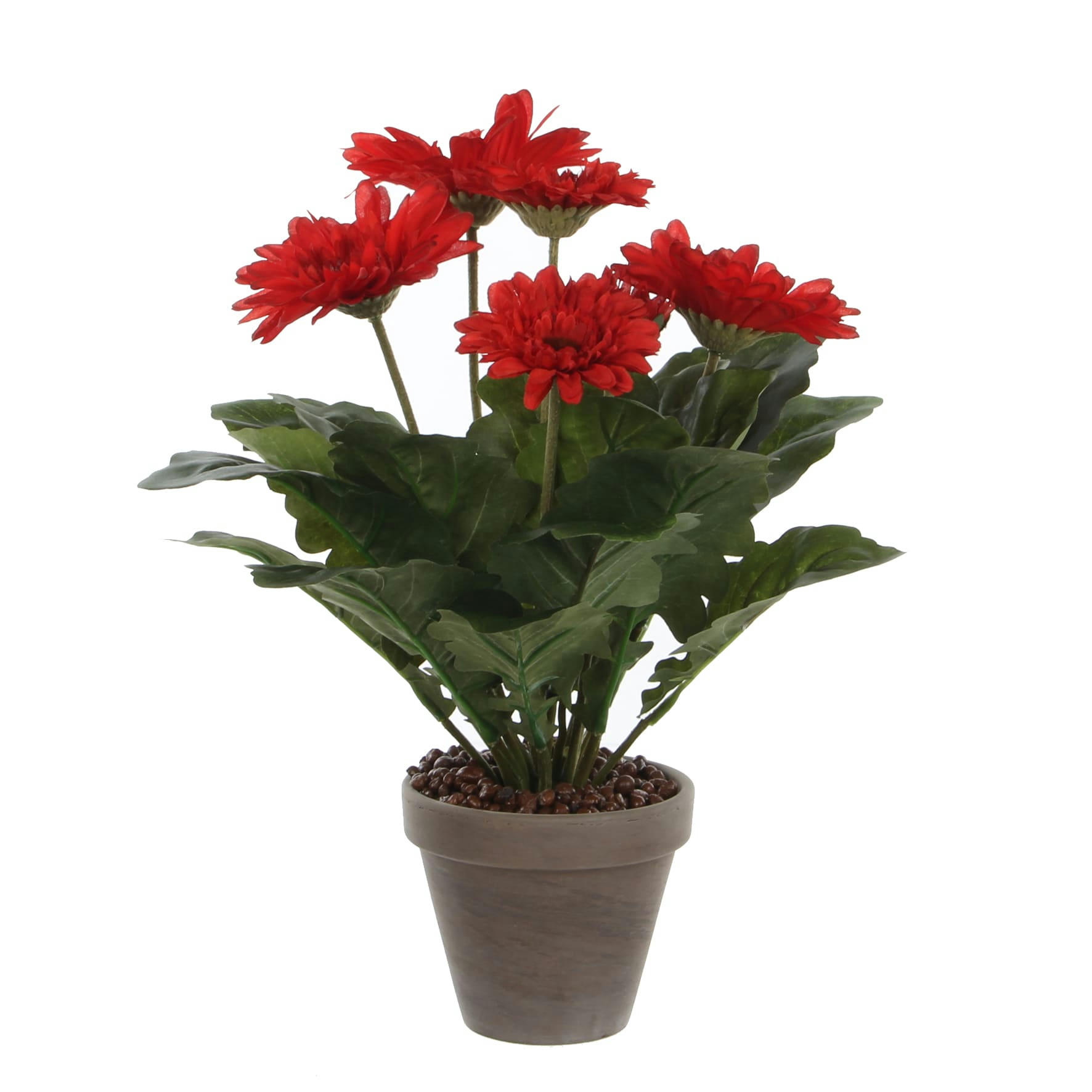 - Gerbera artificielle rouge en pot H35