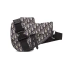 Dior saddle Bag