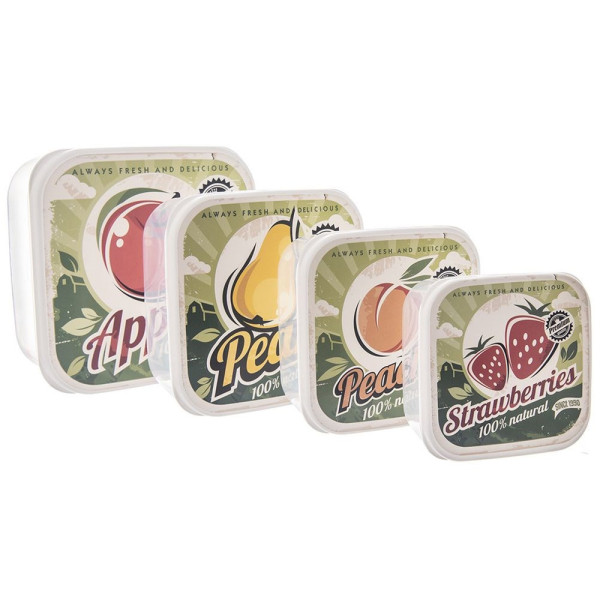 Pojemniki na żywność lunchbox 4 szt.