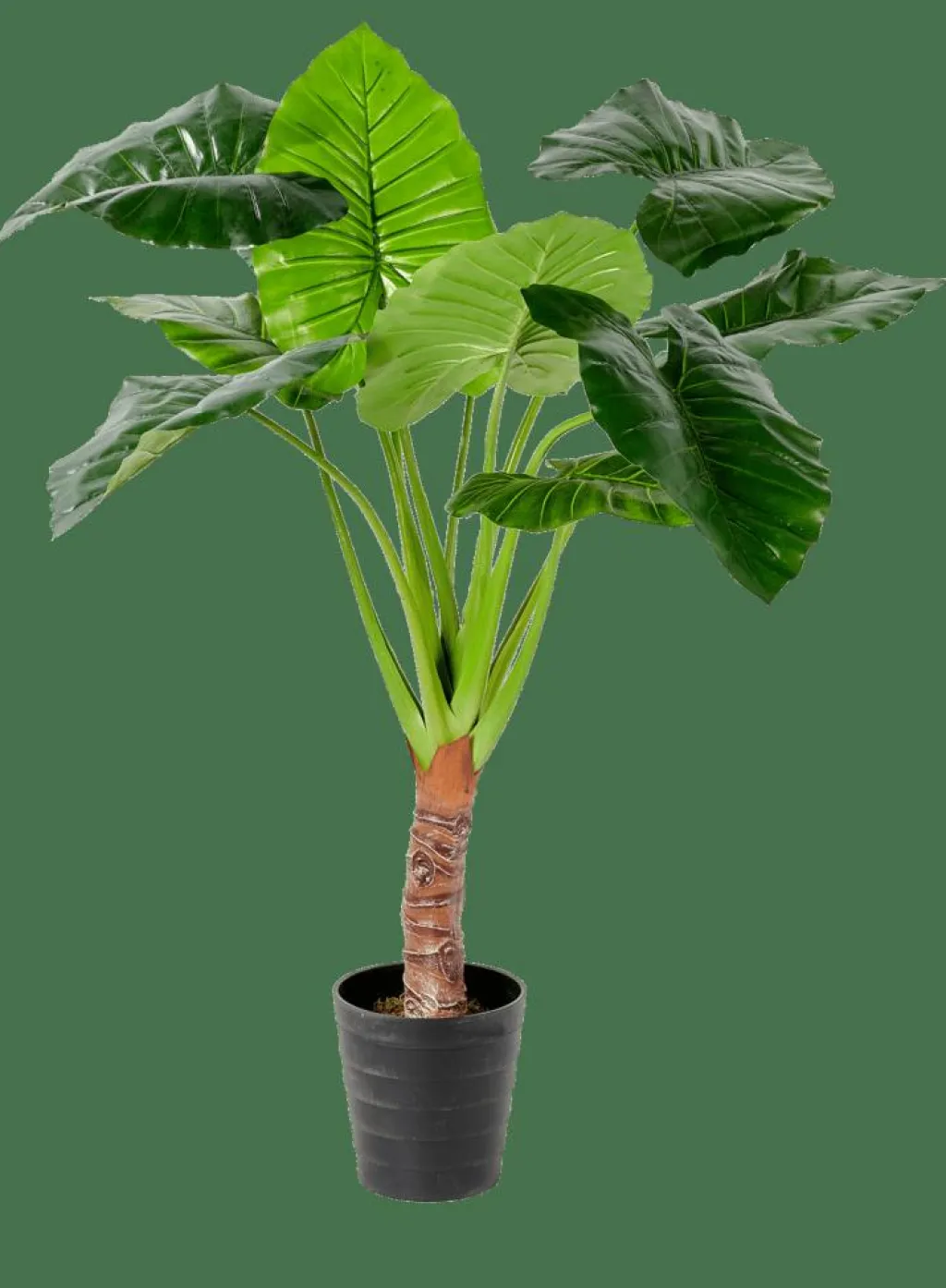 Plantes Artificielles^CASA TARO Plante Artificielle Arum Vert