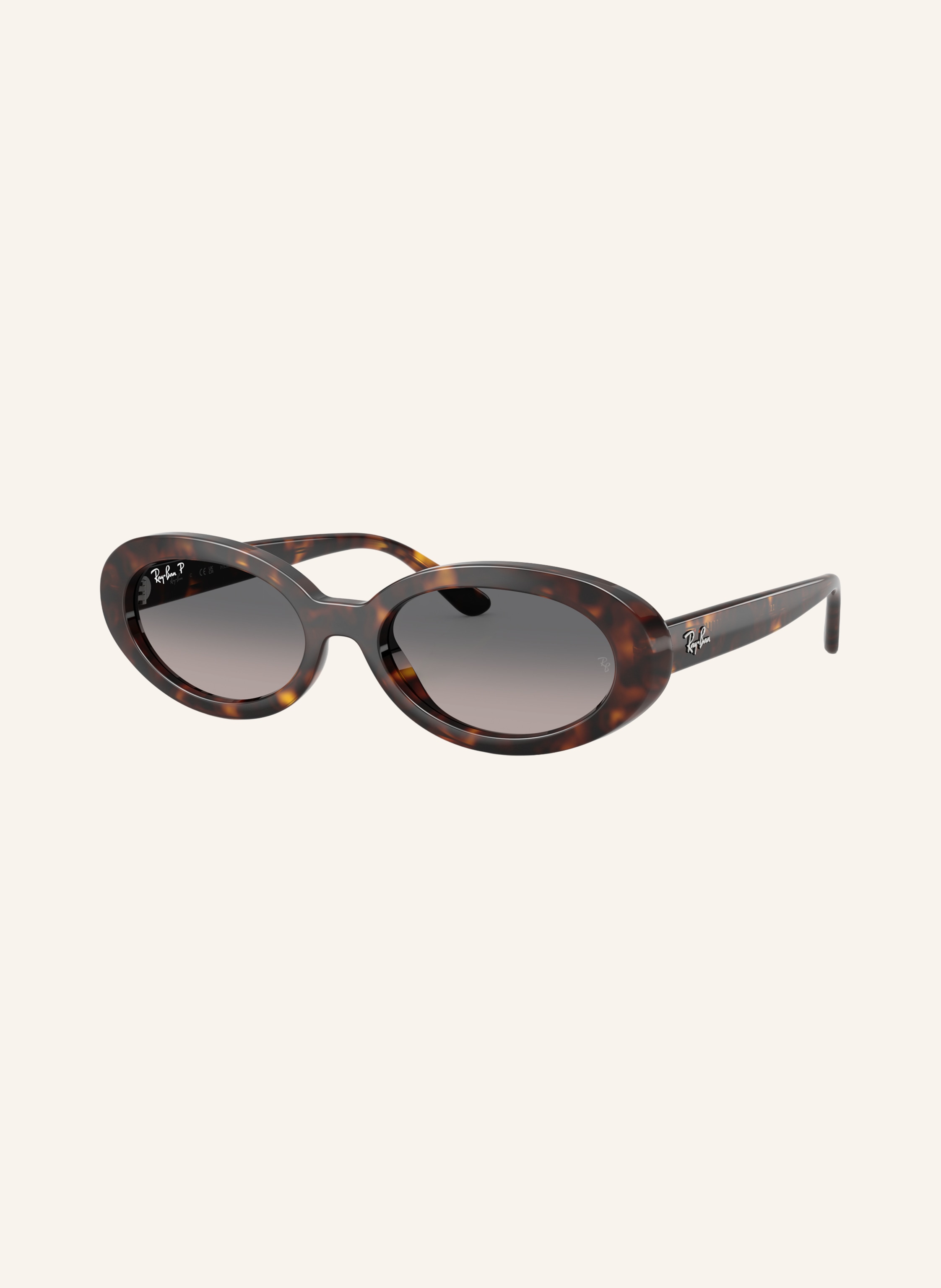 Ray-Ban Sonnenbrille RB2223F