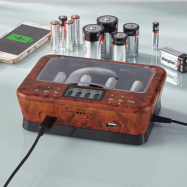 Chargeur de Piles FISHTEC Platinium