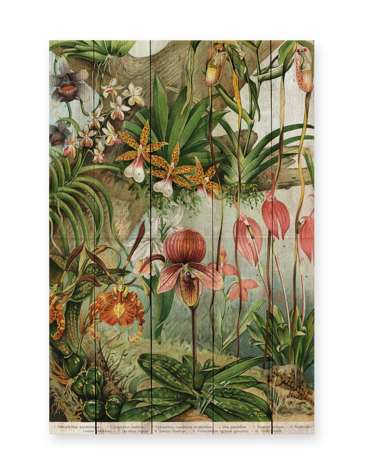 Really Nice Things - Paneel - 60x40 cm - Jungle Flowers