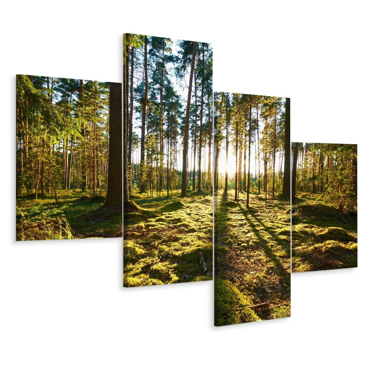 Obraz 4 Częściowy LAS DRZEWA Przyroda 3D 80x50cm