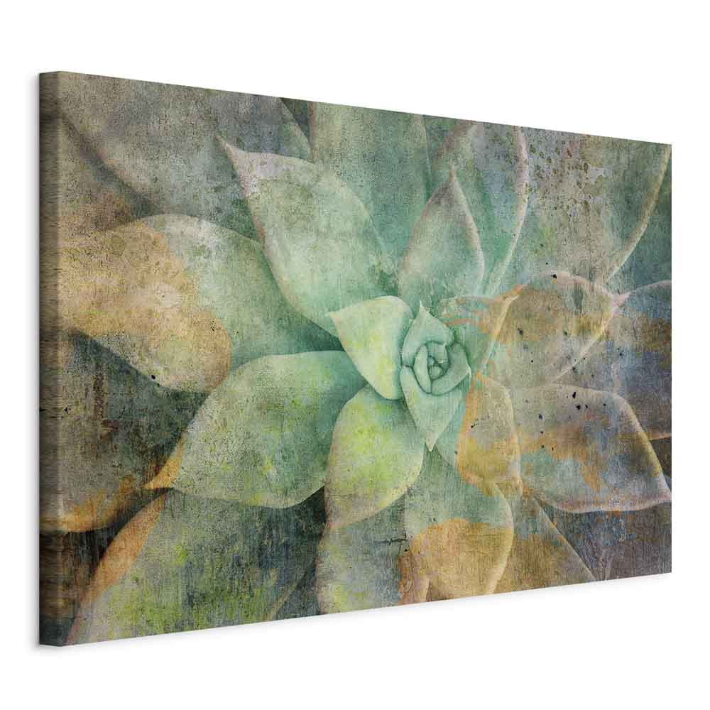 Obraz Tonacje rozkwitania 120 x 80 cm
