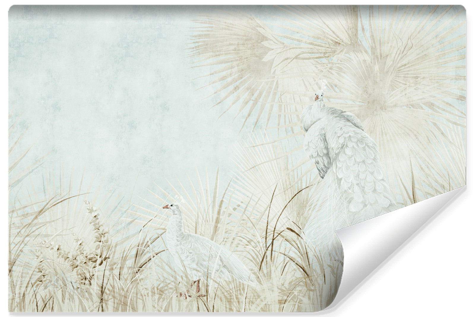 Fototapeta Dostojne Białe Pawie W Stylu Vintage 90x60cm
